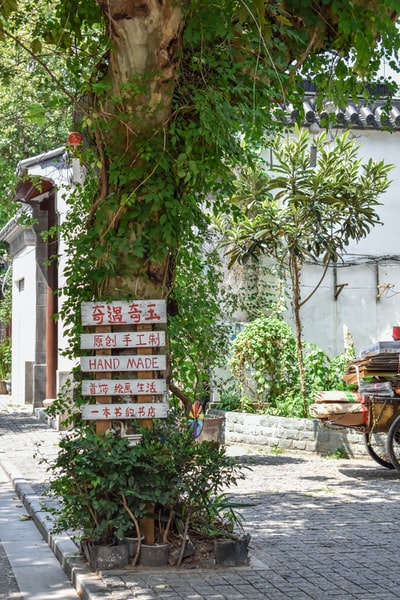 图聚科技